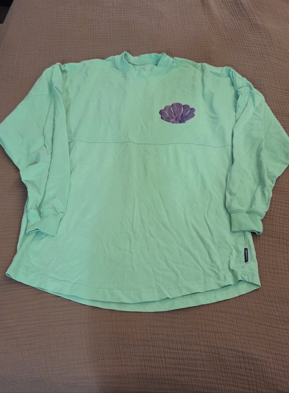 Disneyland RESORT Jersey Mint Green Long Sleeve Tee with Purple Shell Embroidery